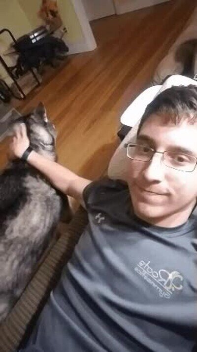 atencion,constante,perro