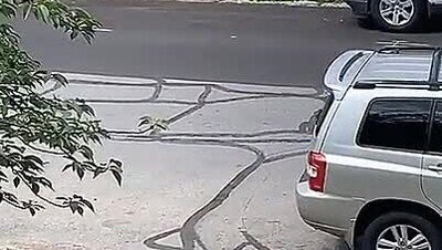 Enlace a ¿Qué harías si ves esto al mirar por tu ventana?