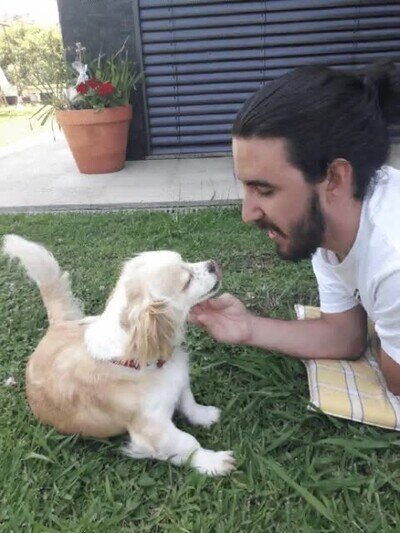 Enlace a Batalla de lametones con tu perro