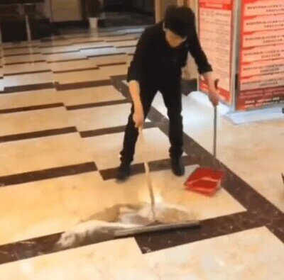 limpiar,suelo,profesional