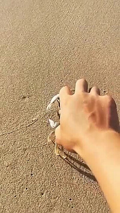 Enlace a Cuando tu pareja te dice que está sola en casa