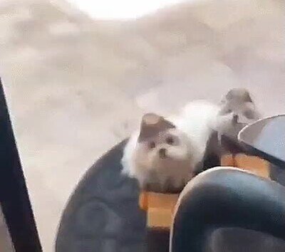 Enlace a Hoy en día ponen a cualquiera a repartir paquetes