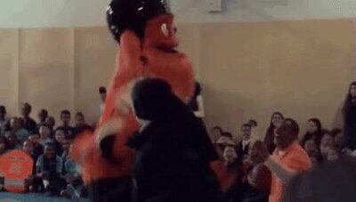 Enlace a Mascotas que no tienen respeto por sus rivales