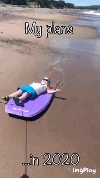 Enlace a 2020 resumido en un gif