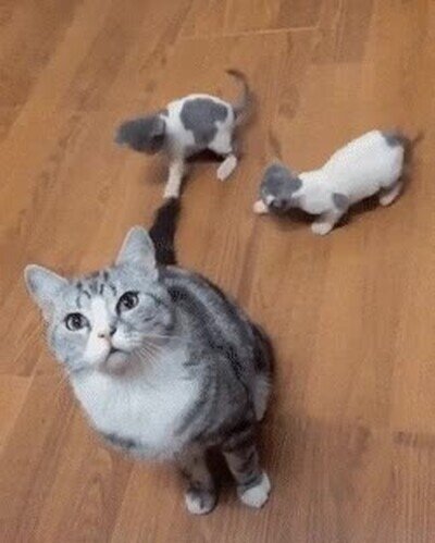 peque&ntilde;os,ocupados