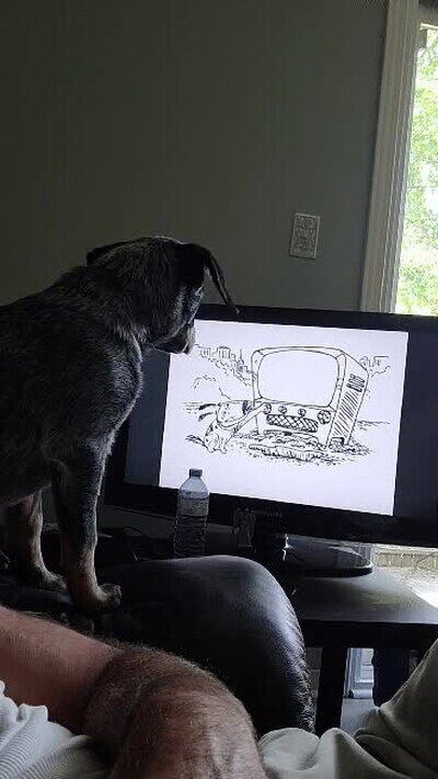 Enlace a Inception pero con perros mirando la tele 