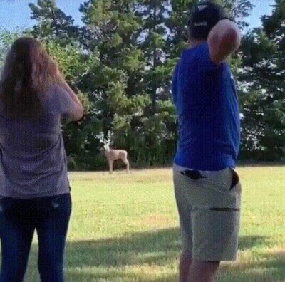 Enlace a A eso le llamo pedir matrimonio con estilo