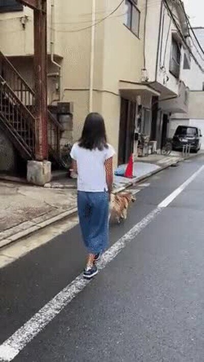 Enlace a Nunca había visto a nadie caminar con tanto estilo