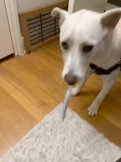 Enlace a Me recuerda a un boss de Dark Souls