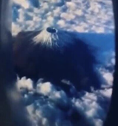 Enlace a Truco para fardar de vacaciones sin salir de casa