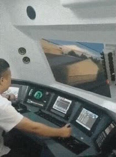 susto,conductor,tren