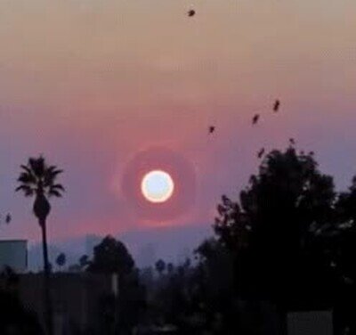 Enlace a Podría ser el fin del mundo tal y como lo conocemos