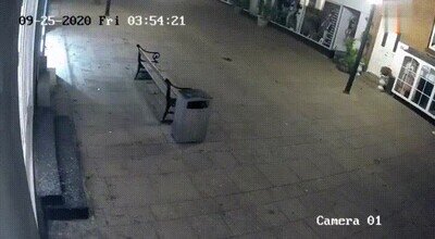 ladrones,robo,maniqui