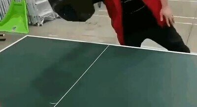 Enlace a La batalla de pingpong definitiva