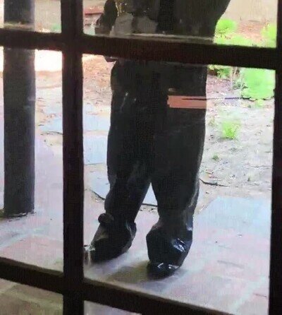 Enlace a Este año los Emmy han sido un poco raros