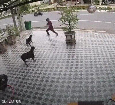 Enlace a No tienen ninguna oportunidad contra el Kung Fu Master