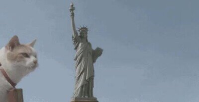 Enlace a Con gatos gigantes el mundo sería un lugar mejor