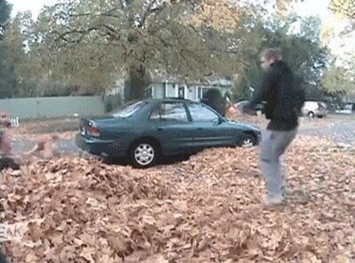 amigos,troll,coche,pelota