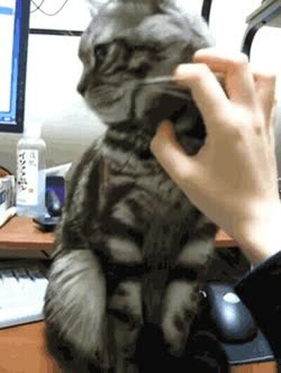 Enlace a Vale ya está. Déjalo...