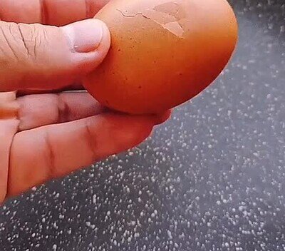 Enlace a ¿Qué probabilidaes hay de que pase cuando abres un huevo?
