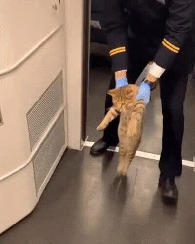 Enlace a Acompañan fuera del tren al causante de alboroto