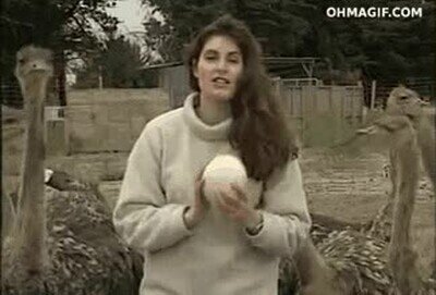 abrir,chicles,clase,avestruz