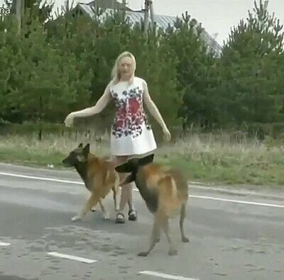 compa&ntilde;eros,baile,perfecto