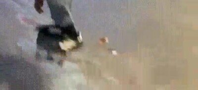 mejor,recuperaci&oacute;n,fail