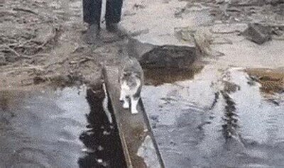 Enlace a Finalmente lo consigue sin complicaciones