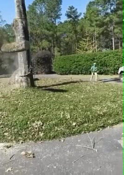 Enlace a Todo estaba perfectamente calculado. Hasta el milímetro