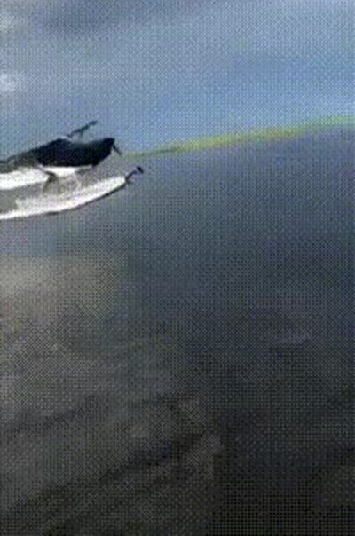 Enlace a Ha ido de un pelo...