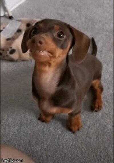 Enlace a Cuando te piden que digas cheese antes de una foto