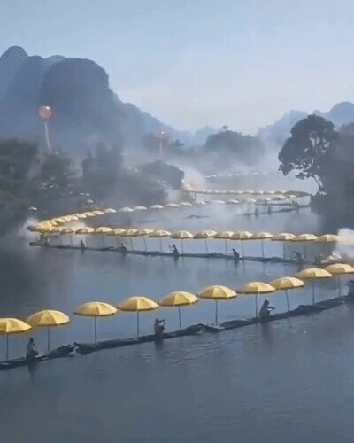 Enlace a Esto es sencillamente increíble