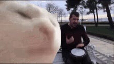 adivinar,cancion,gato,tocar