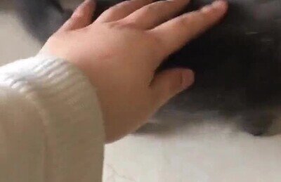 ganas,nadie,esconder