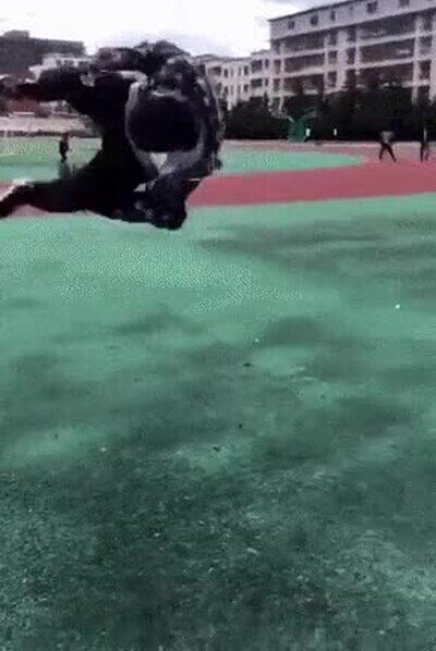 Enlace a Una pena¡. El primer salto había sido espectacular