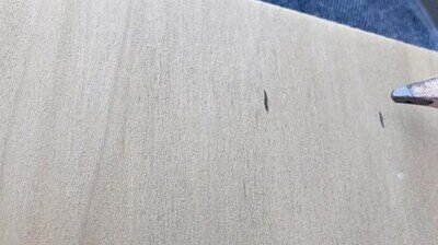 Enlace a El talento natural de los carpinteros