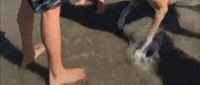 Enlace a Cuenta la leyenda que aún está persiguiendo la flecha