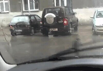 Enlace a Me siento intimidado por este pájaro