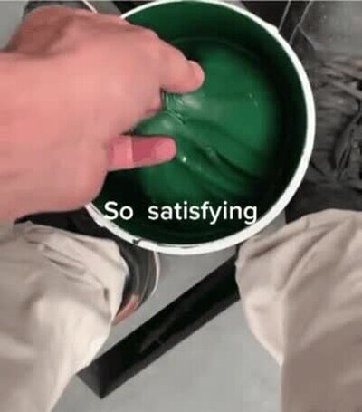 susto,importante,verde,araña