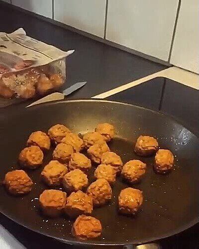 albondigas,perro,esperar