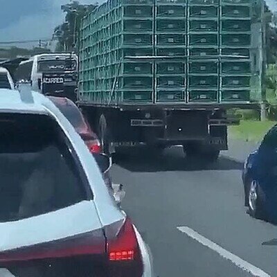 Enlace a Probablemente le haya salvado la vida