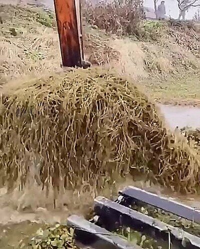 limpiar,canal,excavadora