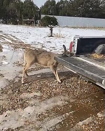 Enlace a Nos ha engañado a todos