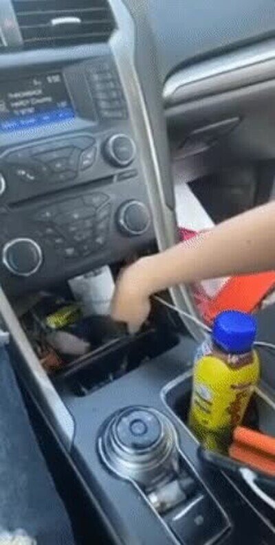 Enlace a Ayudando a un pájaro atrapado en un coche