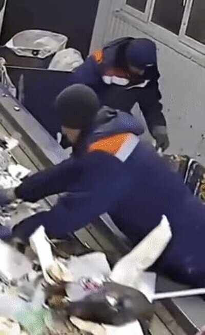 salvar,vida,gato,maquina