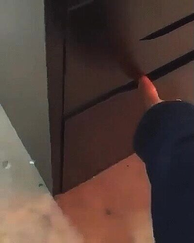 mejor,amigo,oficina,perro