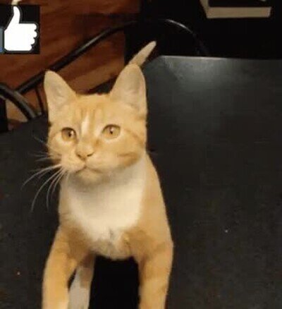 Enlace a Cuando ves un nuevo post de tu crush