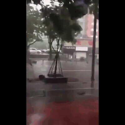 Enlace a A veces es inútil salir con paraguas