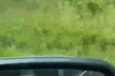 Enlace a Quizás solo están jugando